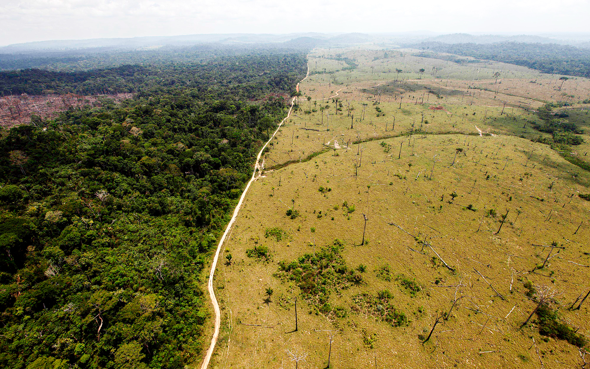 AI for Environmental Sustainability